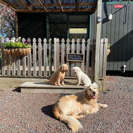 Willows Reach Lodge Kumeu Bagian luar foto