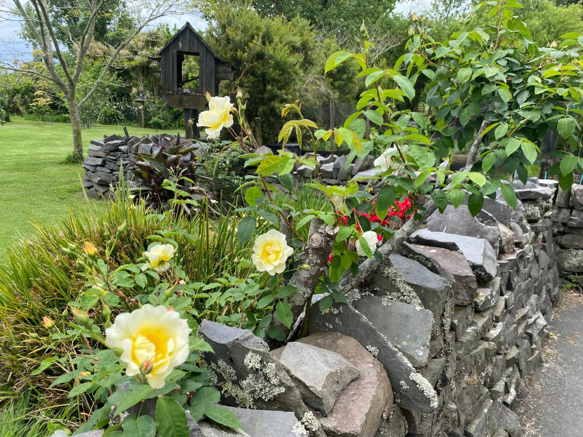 Willows Reach Lodge Kumeu Bagian luar foto