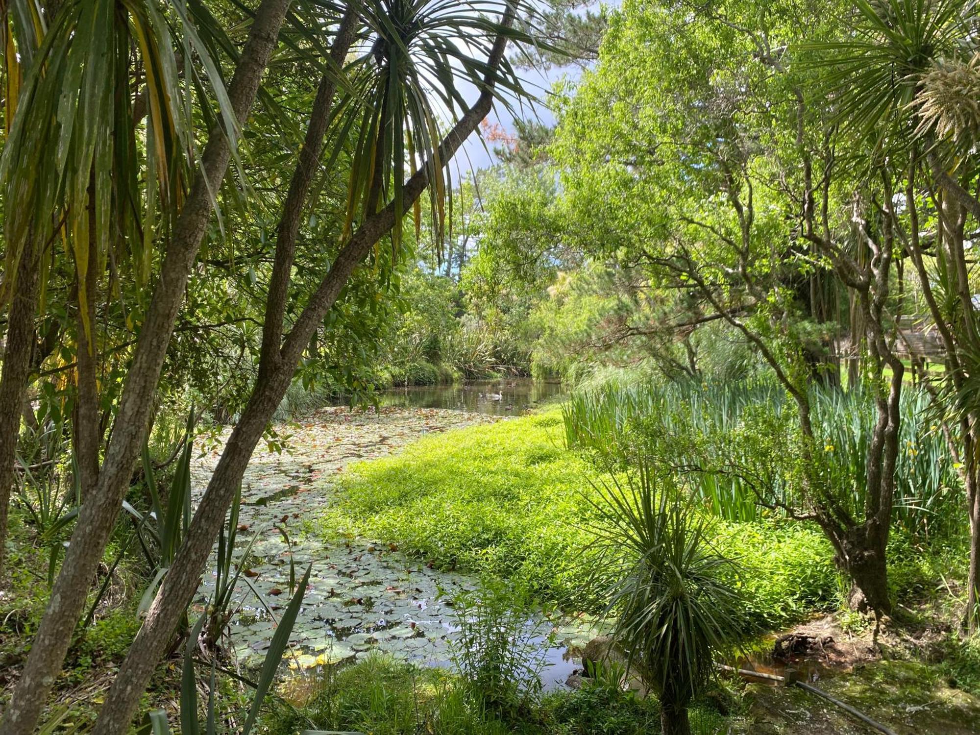 Willows Reach Lodge Kumeu Bagian luar foto