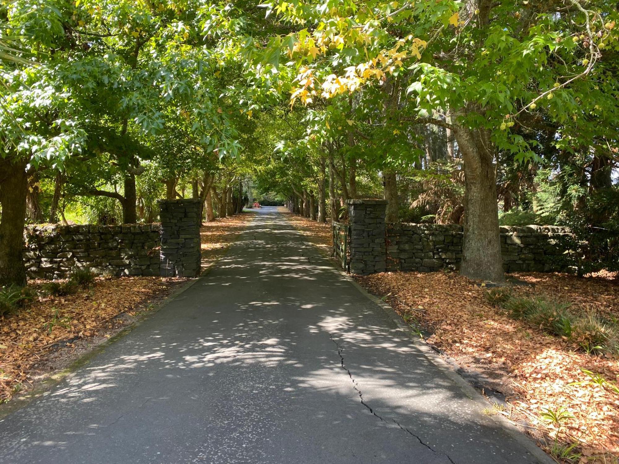 Willows Reach Lodge Kumeu Bagian luar foto