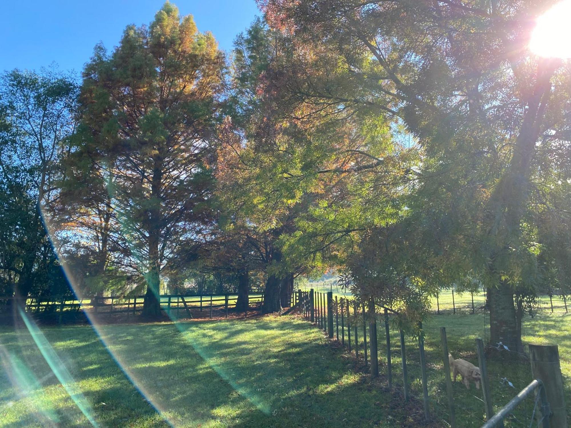 Willows Reach Lodge Kumeu Bagian luar foto