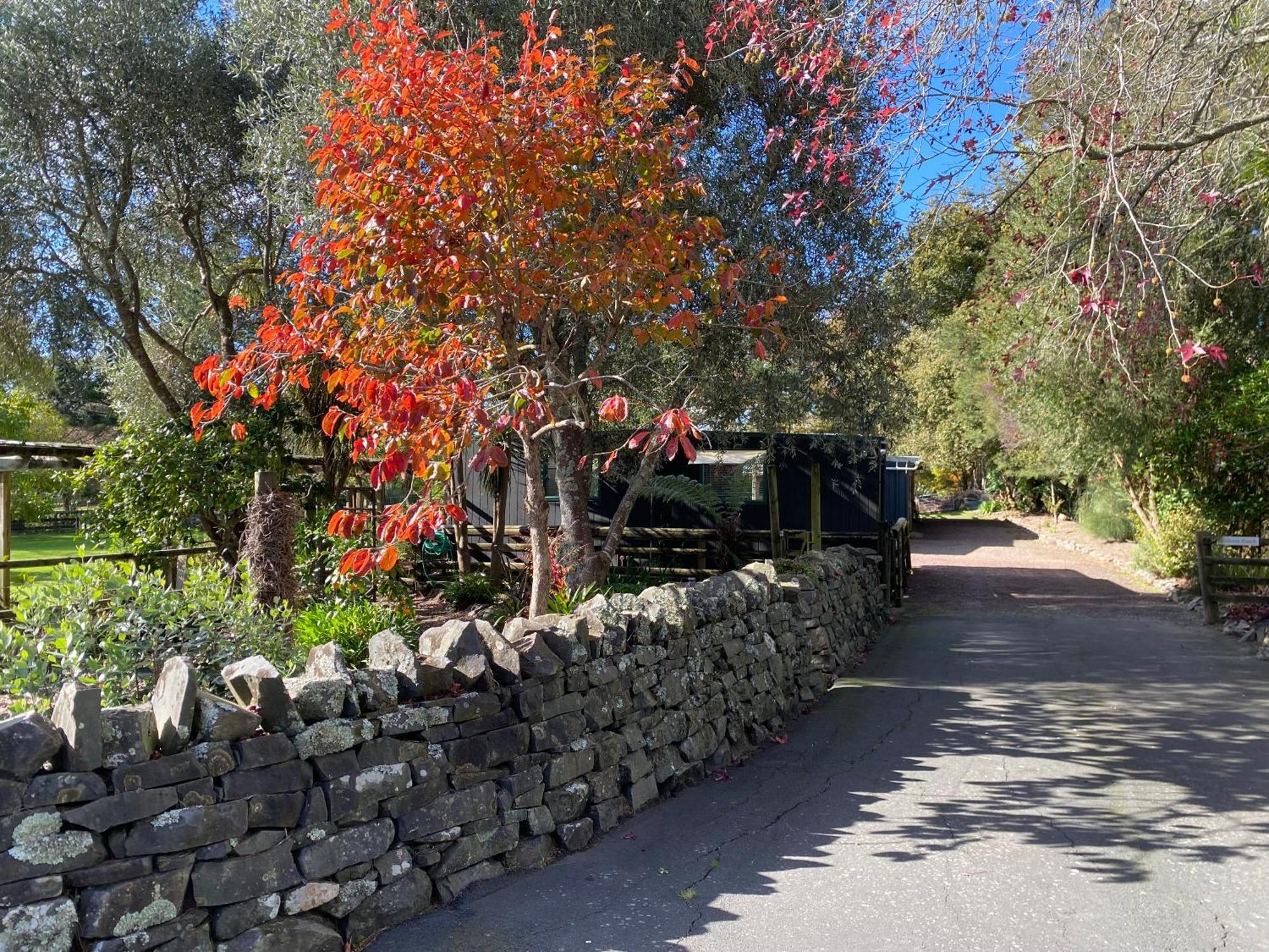 Willows Reach Lodge Kumeu Bagian luar foto