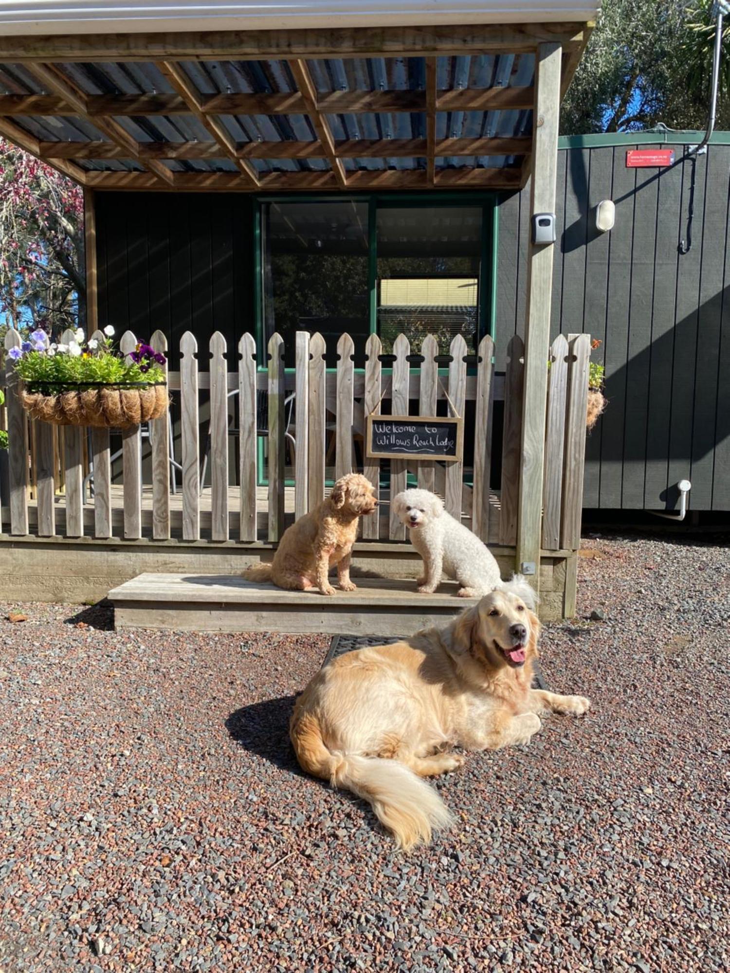 Willows Reach Lodge Kumeu Bagian luar foto